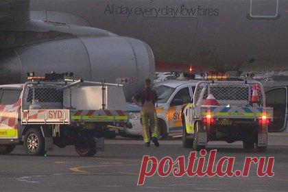 Автомобиль врезался в двигатель самолета и причинил ущерб на 30 миллионов рублей. Автомобиль столкнулся с самолетом в аэропорту Сиднея, причинив ущерб почти на 30 миллионов рублей. Машина службы безопасности авиагавани Сиднея врезалась в двигатель пассажирского самолета авиакомпании Jetstar и застряла под ним. В результате лобовое стекло со стороны водителя оказалось разбито.