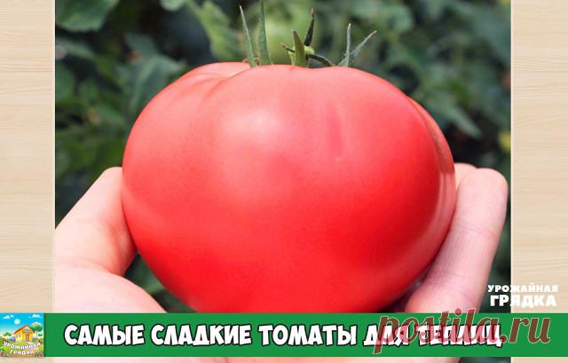 Самые сладкие томаты для теплиц

Крупноплодные сладкие томаты для теплиц
Сорта томатов с крупными плодами должны быть на каждом участке, ведь они пользуются особым спросом из-за своей универсальности: из них можно делать салаты, соки, соусы, консервацию.

Самые сладкие, крупноплодные сорта помидоров для выращивания в теплице:

Король ранних. Отличается ранним сроком созревания светло-малиновых, плоскоокруглых плодов весом до половины кило.

Кардинал. Томат – высокорослый, ...