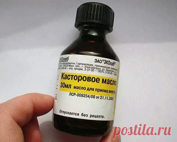 Незаслуженно забытая касторка - МирТесен