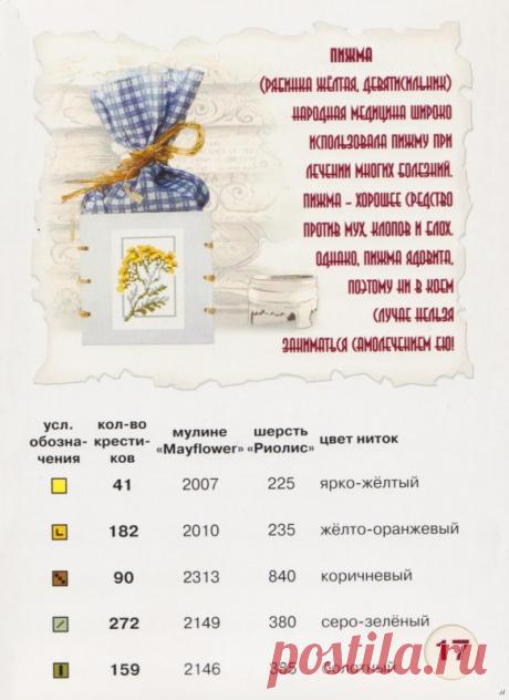 Пижма. Схема вышивки - запись пользователя Муми мама (Елена) в сообществе Вышивка в категории Схемы вышивки крестом, вышивка крестиком