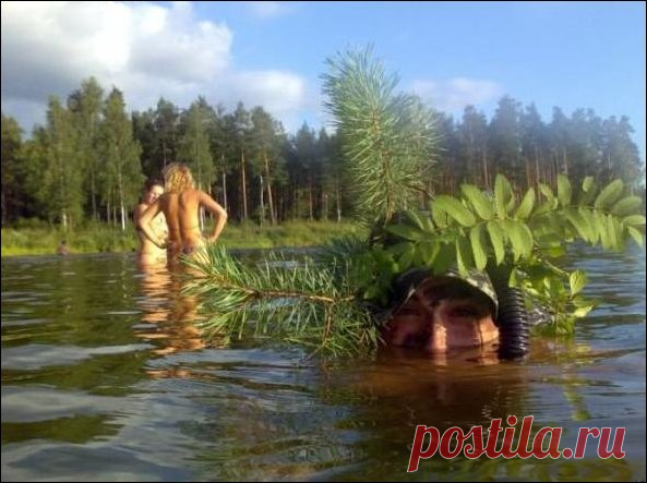 Подборка фотографий (88 фото) | Прикол.ру — приколы, картинки, фотки и розыгрыши!