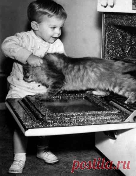 КАК и ЧЕМ ОТМЫТЬ ДУХОВКУ 
Характеристика популярных моющих средств для духовки