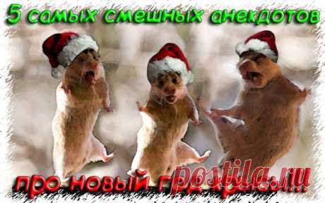 Анекдоты про новый год крысы - Топ анекдотов 2019