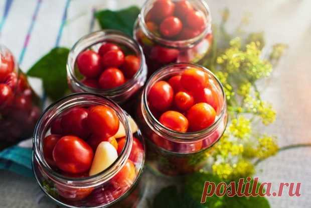 Помидоры в собственном соку с чесноком и хреном на зиму — Journal women