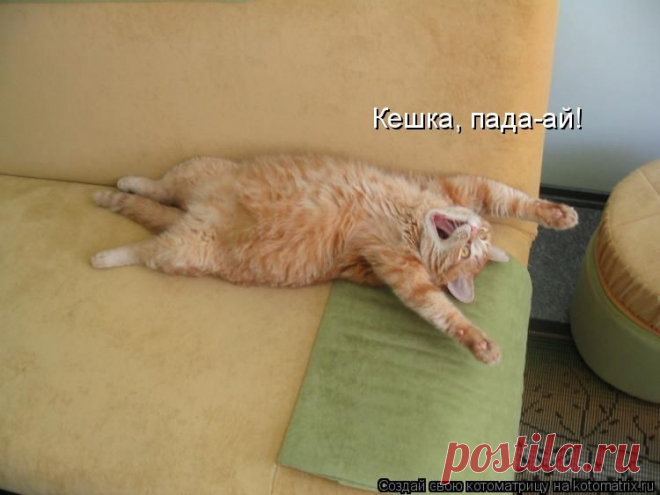 Котоматрица: Круть
