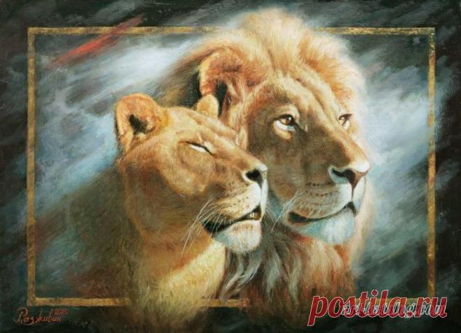 Мощь и нежность саванны Разживин Игорь