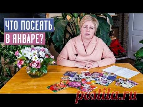 НАСТУПИЛ ПОСАДОЧНЫЙ СЕЗОН!!! ЧТО ПОСЕЯТЬ В ЯНВАРЕ? / Садовый гид садовый гид