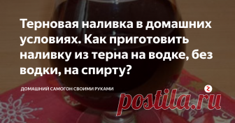 Терновая наливка в домашних условиях. Как приготовить наливку из терна на водке, без водки, на спирту? Если у вас есть собственный сад-огород, то наверняка вы уже перепробовали множество настоек и наливок: клюквенную, смородиновую, яблочную и сливовую.
Знаете ли вы, что существует еще терновая наливка – весьма необычная и оригинальная, причем одна из ее разновидностей напоминает любимый женщинами кагор?
Наливка из терна в домашних условиях получается отличной на вкус.