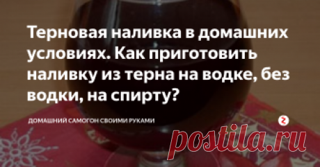 Терновая наливка в домашних условиях. Как приготовить наливку из терна на водке, без водки, на спирту? Если у вас есть собственный сад-огород, то наверняка вы уже перепробовали множество настоек и наливок: клюквенную, смородиновую, яблочную и сливовую.
Знаете ли вы, что существует еще терновая наливка – весьма необычная и оригинальная, причем одна из ее разновидностей напоминает любимый женщинами кагор?
Наливка из терна в домашних условиях получается отличной на вкус.