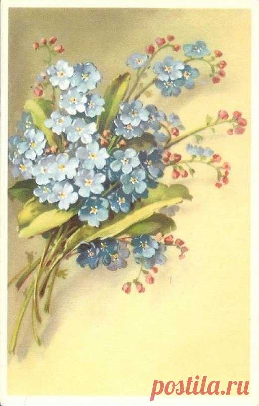 Vintage Alfred Mainzer Flower Postcards