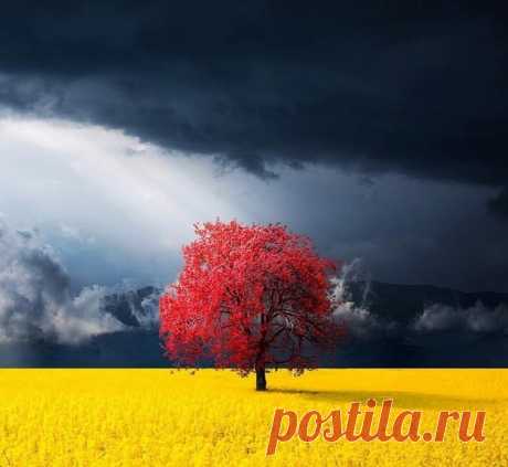 Безупречные кадры на миллион | Фотоискусство