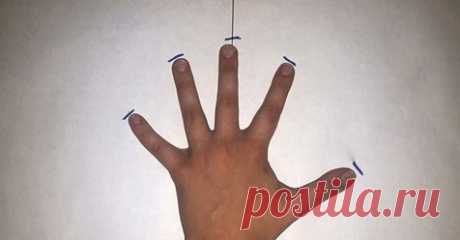 (8) Facebook