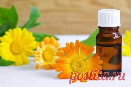 Рецепт от давления

2 столовые ложки сухих цветков календулы залить 100 мл спирта. Поставить в холодильник на 2 дня. Каждый день встряхивать. Через 2 дня процедить. Теперь понадобится 1 лимон. Из лимона отжать сок и смешать его с настойкой. Вот и все. Настойку принимать по 10 капель в день, смешивая с водой. Средство очень эффективное. Календула отлично выравнивает давление.