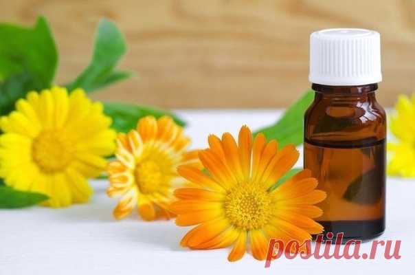 Рецепт от давления

2 столовые ложки сухих цветков календулы залить 100 мл спирта. Поставить в холодильник на 2 дня. Каждый день встряхивать. Через 2 дня процедить. Теперь понадобится 1 лимон. Из лимона отжать сок и смешать его с настойкой. Вот и все. Настойку принимать по 10 капель в день, смешивая с водой. Средство очень эффективное. Календула отлично выравнивает давление.