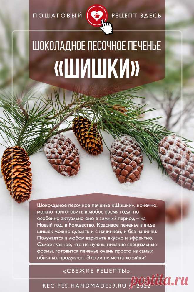 Шоколадное песочное печенье «Шишки». Пошаговый рецепт с фото приготовления шоколадного песочного печенья «Шишки». Красивое печенье на Новый год и Рождество. Оригинальная выпечка. Оформление блюд. #свежиерецепты #рецепт #выпечка #печенье #новыйгод #рождество