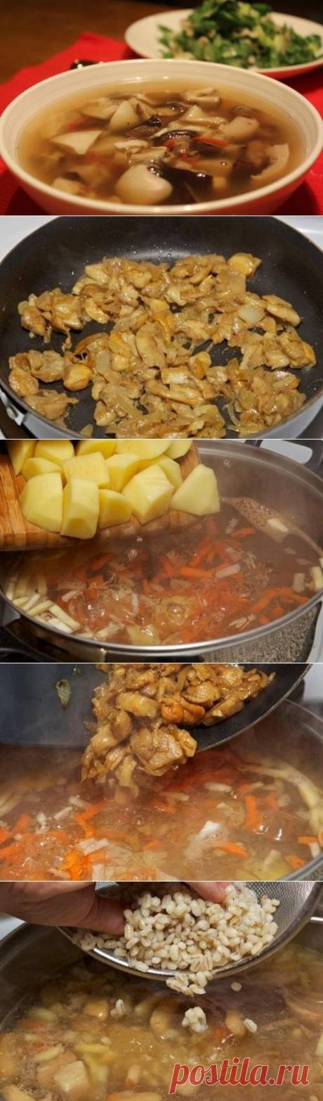 Грибной суп из замороженных грибов - пошаговый кулинарный рецепт с фото. / Простые рецепты