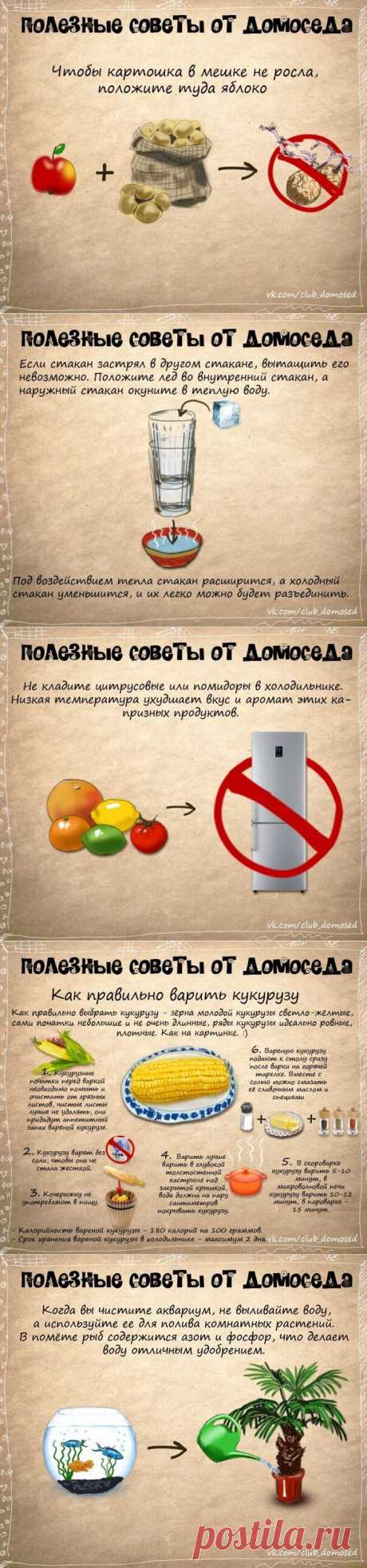 ПОЛЕЗНЫЕ БЫТОВЫЕ СОВЕТЫ | Ваш Дом