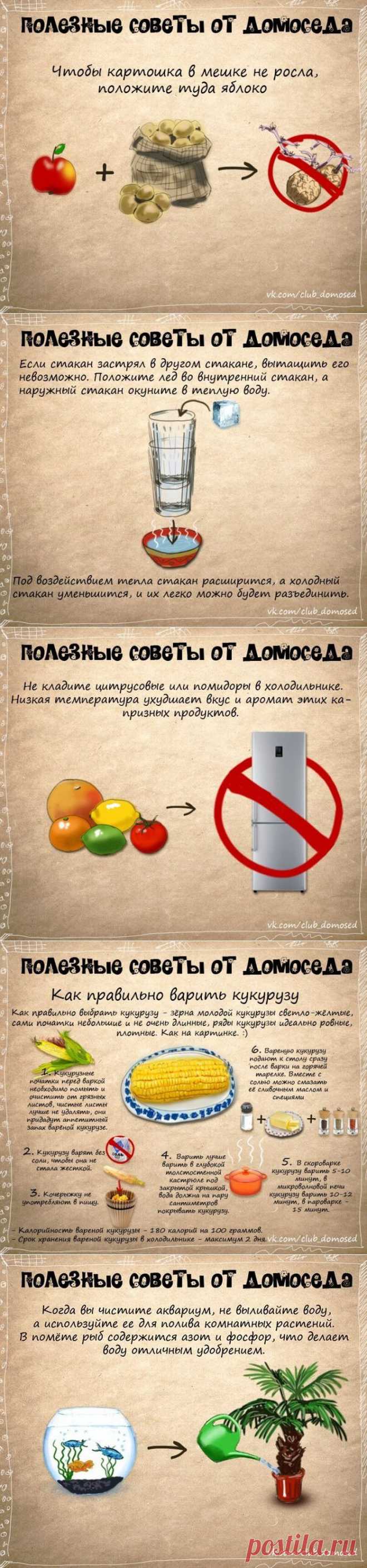 ПОЛЕЗНЫЕ БЫТОВЫЕ СОВЕТЫ | Ваш Дом