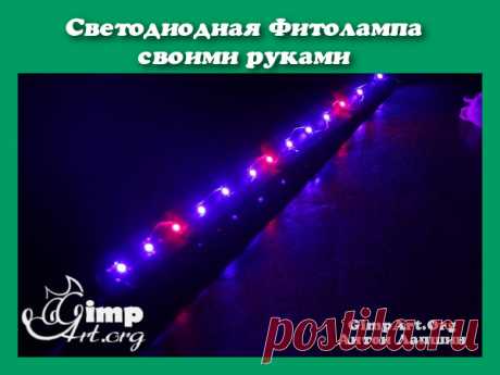 Светодиодная фитолампа своими руками для рассады Из данной пошаговой статьи для новичков вы узнаете, как сделать простую светодиодную фитолампу для рассады своими руками.