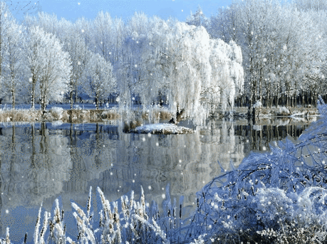 НАТАЛЬЯ - ***Красота кругом какая....*** ~ Плэйкасты ~ Beesona.Ru