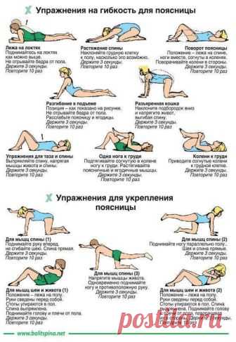 Упражнения для укрепления поясницы