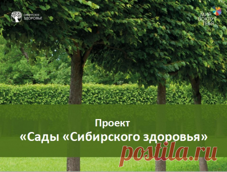 Корпорация "Сибирское здоровье": Мир с нами.....