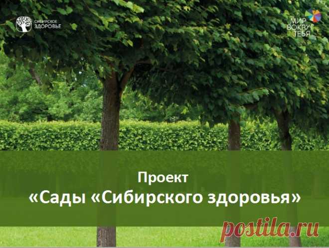 Корпорация 