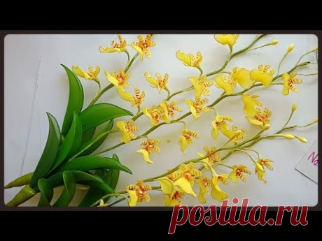 EP164 :ออนซีเดียม โกลเดียนา(Oncidium Goldiana) How to make nylon by ployandpoom