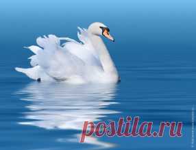 Фотообои природа для любого интерьера: горы, лес, пейзаж, озеро Страница 5