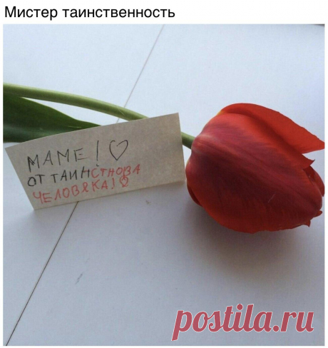 Без комментария