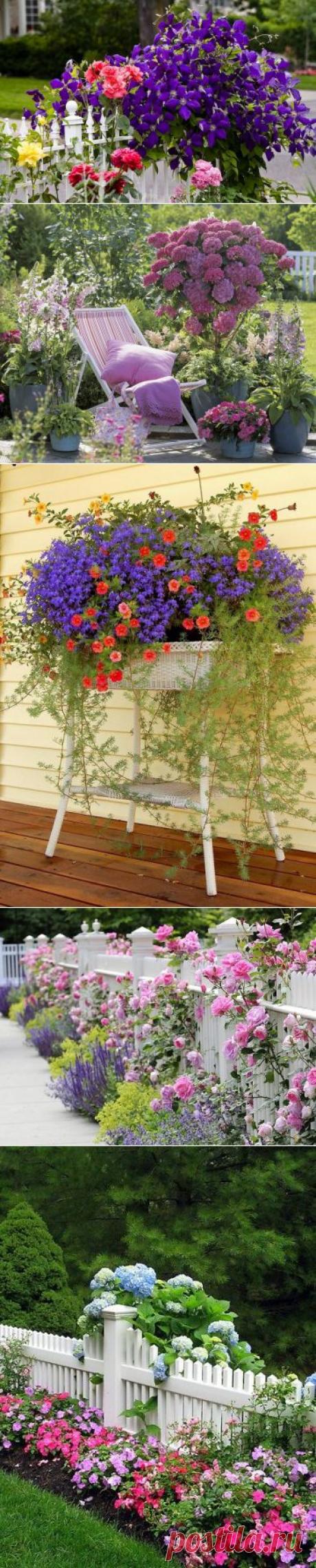 Садово-дачные красивые идеи | Дачный участок