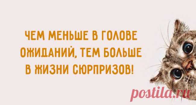 Чем меньше в голове ожиданий...