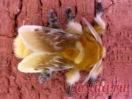 Click These Pictures To See A Transformation | Nature - BabaMail