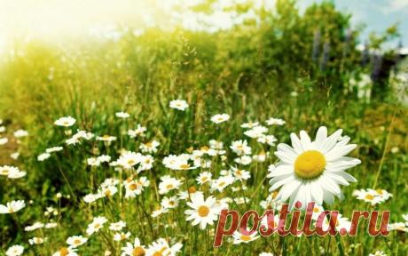 Мой Мир@Mail.Ru