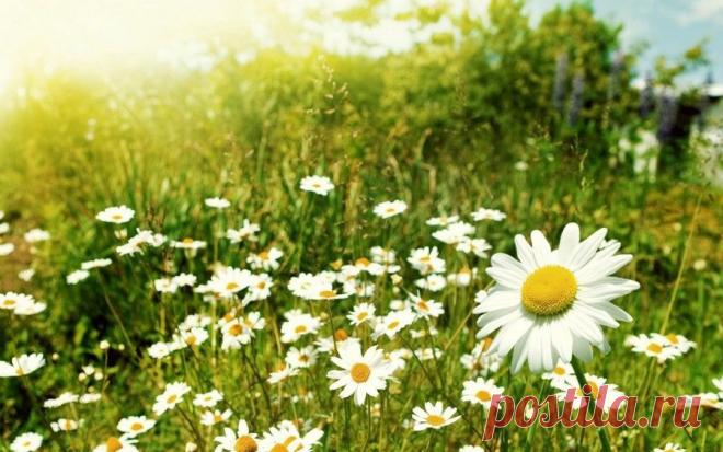 Мой Мир@Mail.Ru