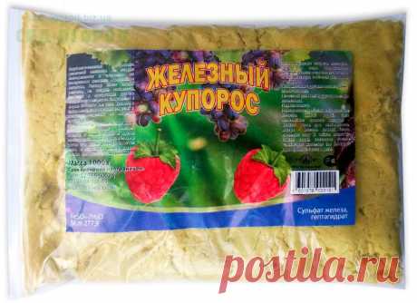 Особенности обработки роз железным купоросом осенью