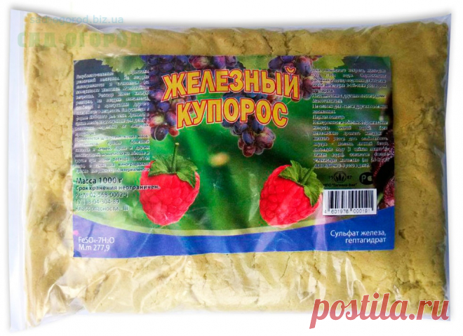 Особенности обработки роз железным купоросом осенью