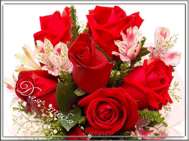 9768506.gif (700×524)