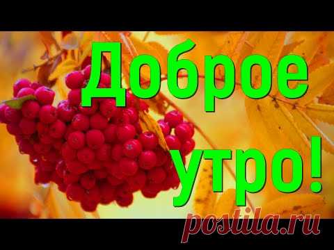С Добрым Утром! 27 сентября! Красивое Пожелание Доброго Утра!