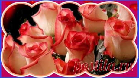 С днём Татьяны . Красивое цветочное поздравление .