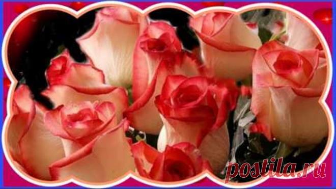 С днём Татьяны . Красивое цветочное поздравление .