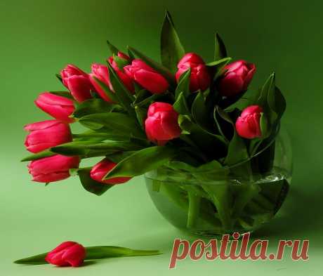 Одноклассники