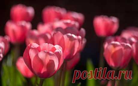 Китай:  Decoration, Home Appliance, Home Appliances, Home Textile, Home Decor, Christmas Decoration, Home Furnishings