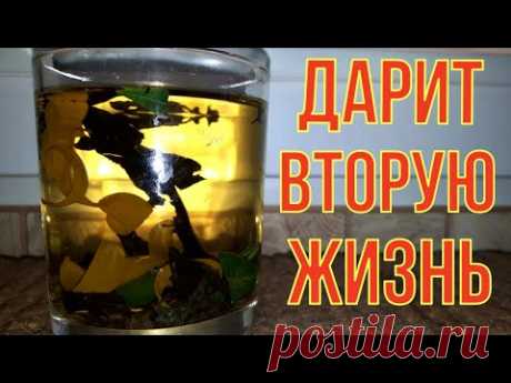 Пол стакана и суставы оживают. Вторую жизнь подарит. На ноги поставит. - YouTube