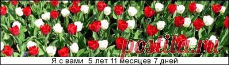 НАЧИНКИ ДЛЯ ПИРОГОВ,ПИРОЖКОВ,ШАНЕЖЕК,ВАТРУШЕК,КУЛЕБЯК и.т.д. - gotovtesnami.ucoz.net