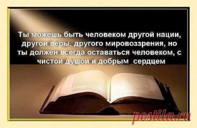 мудрые мысли о жизни: 2 тыс изображений найдено в Яндекс.Картинках