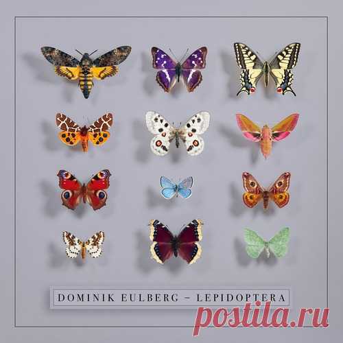 Dominik Eulberg - Lepidoptera (2025) FLAC free download mp3 music 320kbps