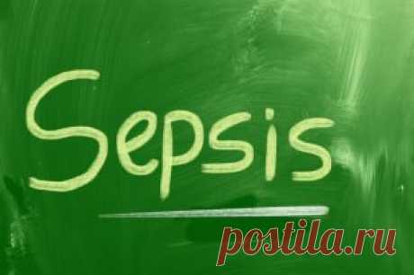 Кариес, ссадина, укол. Что может спровоцировать сепсис и как его лечат | Я ЗДОРОВ!