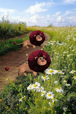 Лето