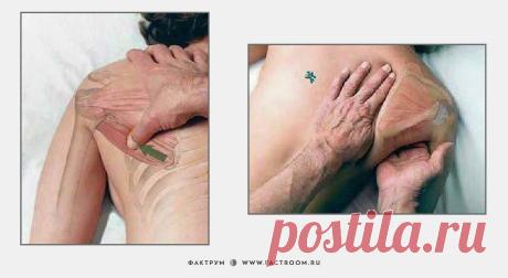 Как делать массаж: 7 картинок для понимания смысла движений рук.